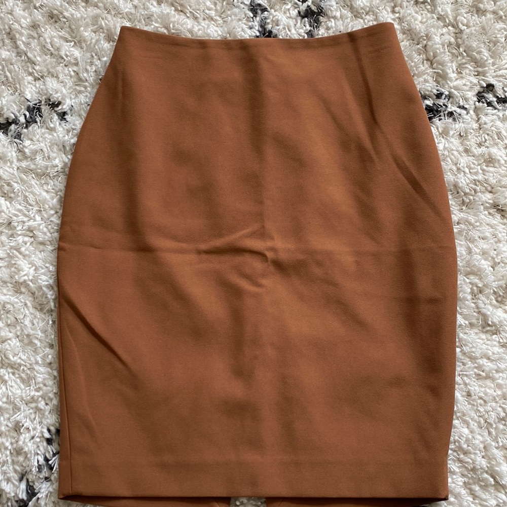 Express Pencil Skirt